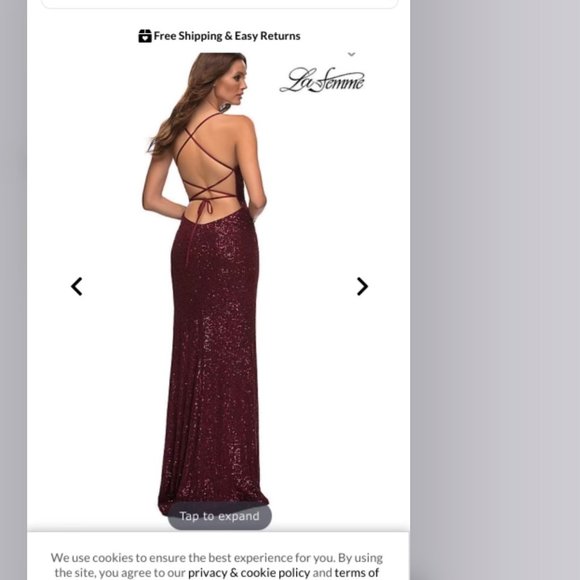 Prom Dress Long Sequins Burgancy Size 2 from Prom Girl - Picture 2 of 4